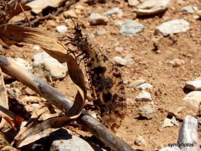 Κάντε κλικ για να δείτε την εικόνα σε πλήρες μέγεθος