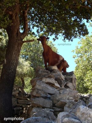 Κάντε κλικ για να δείτε την εικόνα σε πλήρες μέγεθος