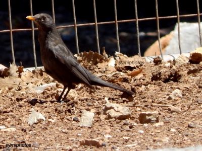 Κάντε κλικ για να δείτε την εικόνα σε πλήρες μέγεθος