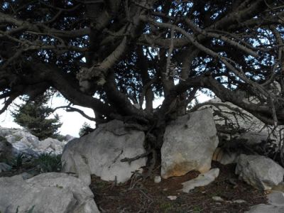 Κάντε κλικ για να δείτε την εικόνα σε πλήρες μέγεθος