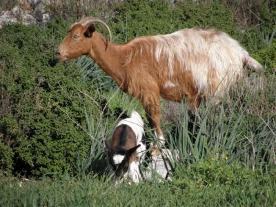 Κάντε κλικ για να δείτε την εικόνα σε πλήρες μέγεθος