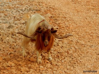 Κάντε κλικ για να δείτε την εικόνα σε πλήρες μέγεθος