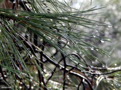 Κάντε κλικ για να δείτε την εικόνα σε πλήρες μέγεθος