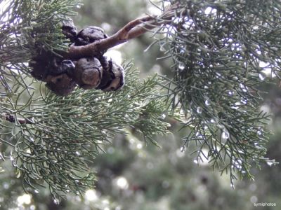 Κάντε κλικ για να δείτε την εικόνα σε πλήρες μέγεθος