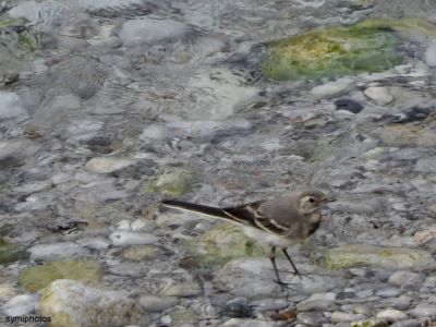 Κάντε κλικ για να δείτε την εικόνα σε πλήρες μέγεθος