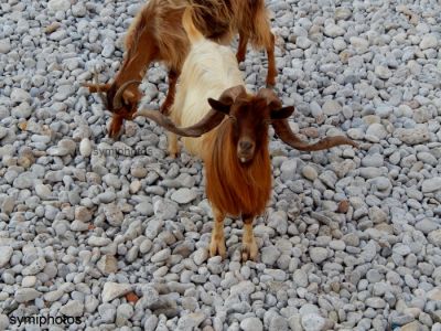 Κάντε κλικ για να δείτε την εικόνα σε πλήρες μέγεθος