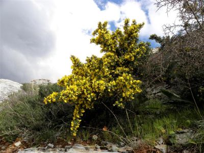 Κάντε κλικ για να δείτε την εικόνα σε πλήρες μέγεθος