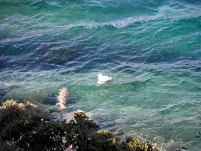 Κάντε κλικ για να δείτε την εικόνα σε πλήρες μέγεθος