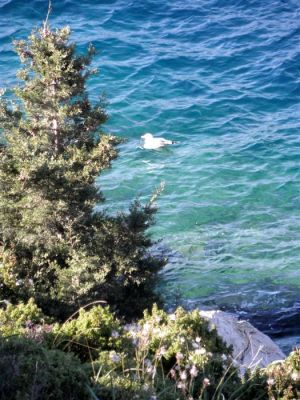 Κάντε κλικ για να δείτε την εικόνα σε πλήρες μέγεθος