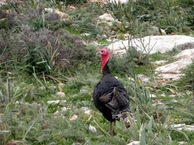 Κάντε κλικ για να δείτε την εικόνα σε πλήρες μέγεθος