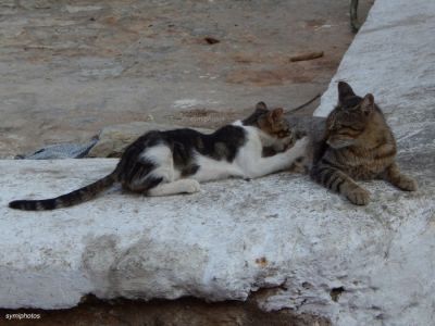 Κάντε κλικ για να δείτε την εικόνα σε πλήρες μέγεθος