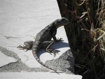 Κάντε κλικ για να δείτε την εικόνα σε πλήρες μέγεθος