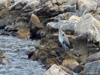 Κάντε κλικ για να δείτε την εικόνα σε πλήρες μέγεθος