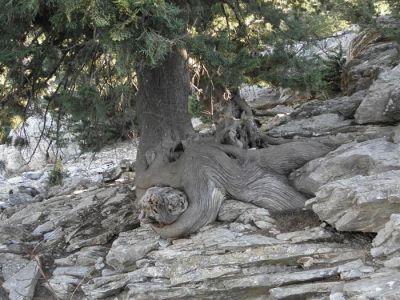 Κάντε κλικ για να δείτε την εικόνα σε πλήρες μέγεθος