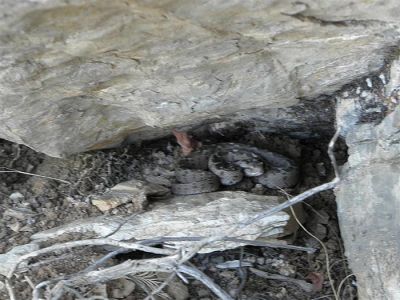 Κάντε κλικ για να δείτε την εικόνα σε πλήρες μέγεθος