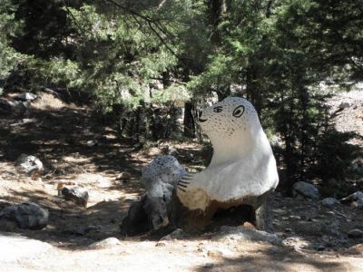 Κάντε κλικ για να δείτε την εικόνα σε πλήρες μέγεθος