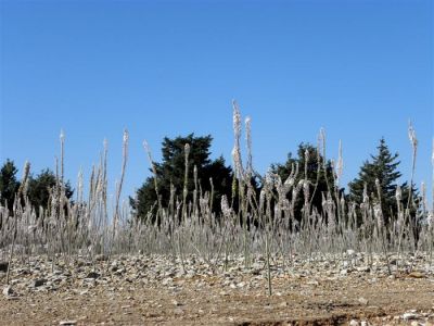 Κάντε κλικ για να δείτε την εικόνα σε πλήρες μέγεθος