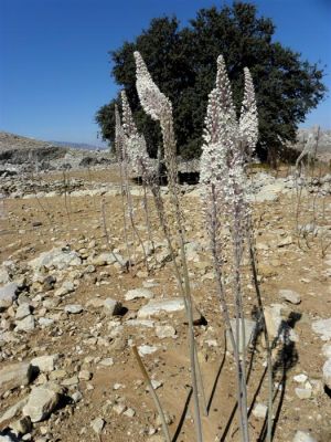 Κάντε κλικ για να δείτε την εικόνα σε πλήρες μέγεθος