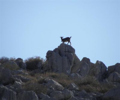 Κάντε κλικ για να δείτε την εικόνα σε πλήρες μέγεθος