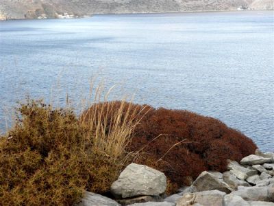 Tam boy resmi görebilmek için tıklayın