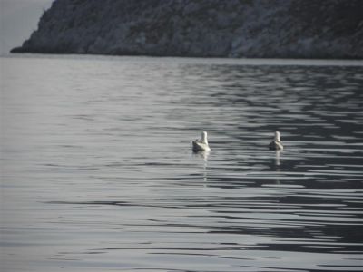 Κάντε κλικ για να δείτε την εικόνα σε πλήρες μέγεθος