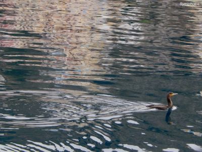 Κάντε κλικ για να δείτε την εικόνα σε πλήρες μέγεθος