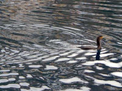 Κάντε κλικ για να δείτε την εικόνα σε πλήρες μέγεθος