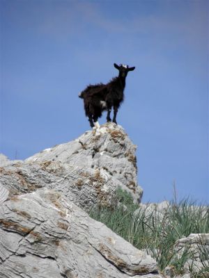 Κάντε κλικ για να δείτε την εικόνα σε πλήρες μέγεθος