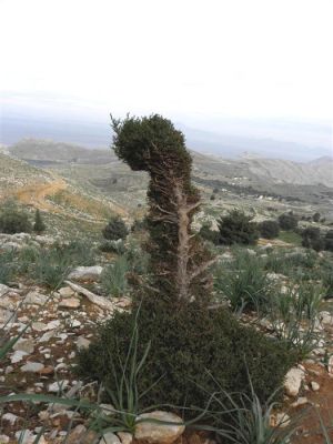 Κάντε κλικ για να δείτε την εικόνα σε πλήρες μέγεθος