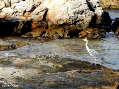 Κάντε κλικ για να δείτε την εικόνα σε πλήρες μέγεθος