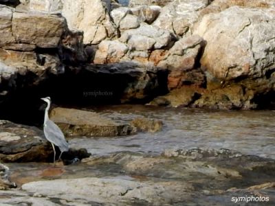 Κάντε κλικ για να δείτε την εικόνα σε πλήρες μέγεθος