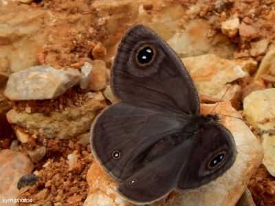 Κάντε κλικ για να δείτε την εικόνα σε πλήρες μέγεθος