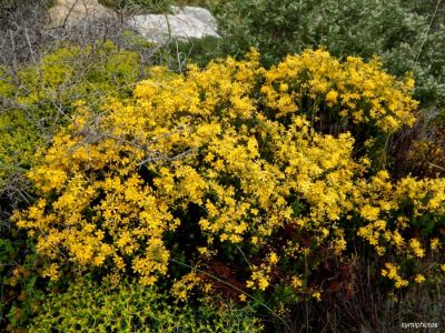 Κάντε κλικ για να δείτε την εικόνα σε πλήρες μέγεθος