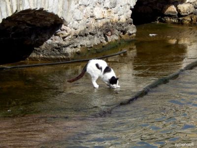 Κάντε κλικ για να δείτε την εικόνα σε πλήρες μέγεθος