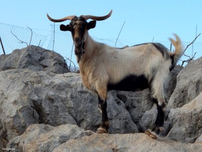 Κάντε κλικ για να δείτε την εικόνα σε πλήρες μέγεθος