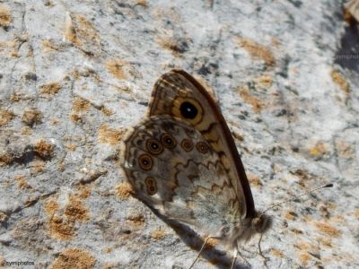 Κάντε κλικ για να δείτε την εικόνα σε πλήρες μέγεθος