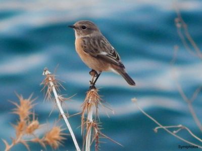 Κάντε κλικ για να δείτε την εικόνα σε πλήρες μέγεθος