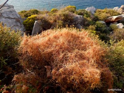 Κάντε κλικ για να δείτε την εικόνα σε πλήρες μέγεθος