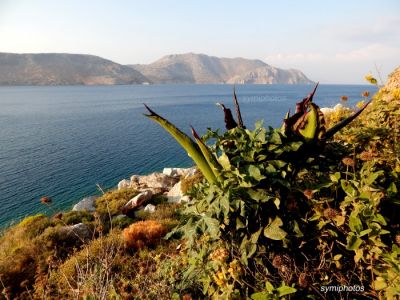 Κάντε κλικ για να δείτε την εικόνα σε πλήρες μέγεθος