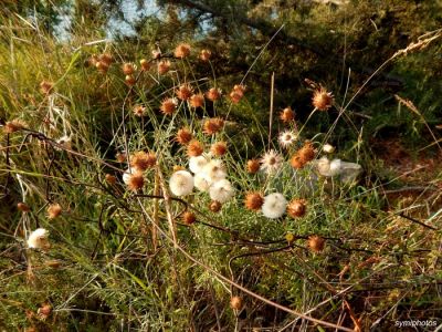 Κάντε κλικ για να δείτε την εικόνα σε πλήρες μέγεθος