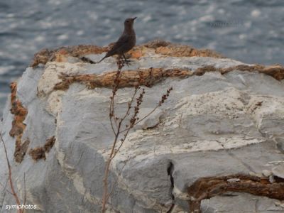 Κάντε κλικ για να δείτε την εικόνα σε πλήρες μέγεθος