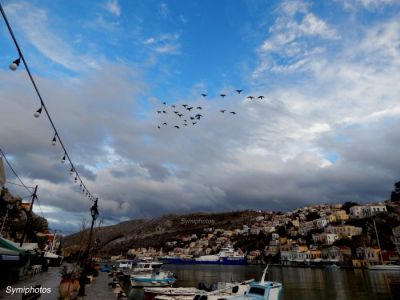 Tam boy resmi görebilmek için tıklayın