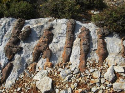 Κάντε κλικ για να δείτε την εικόνα σε πλήρες μέγεθος