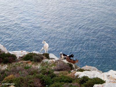 Κάντε κλικ για να δείτε την εικόνα σε πλήρες μέγεθος