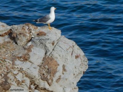 Κάντε κλικ για να δείτε την εικόνα σε πλήρες μέγεθος