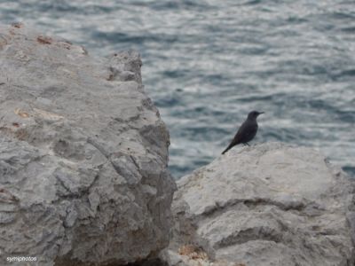 Κάντε κλικ για να δείτε την εικόνα σε πλήρες μέγεθος