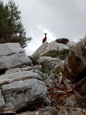 Κάντε κλικ για να δείτε την εικόνα σε πλήρες μέγεθος