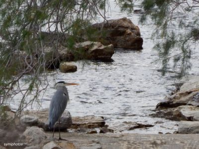 Κάντε κλικ για να δείτε την εικόνα σε πλήρες μέγεθος