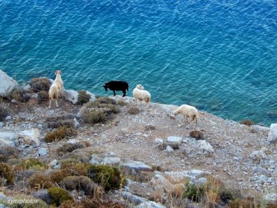 Κάντε κλικ για να δείτε την εικόνα σε πλήρες μέγεθος