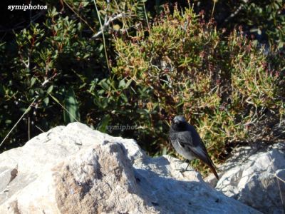 Κάντε κλικ για να δείτε την εικόνα σε πλήρες μέγεθος